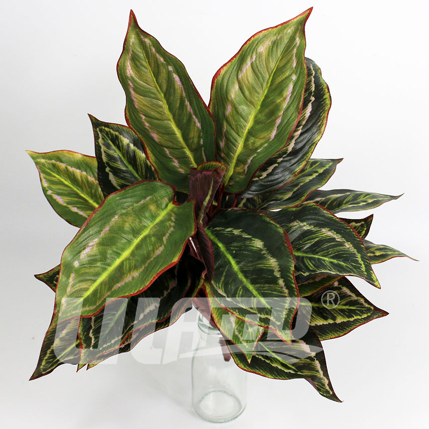 仿真植物彩葉萬(wàn)年青