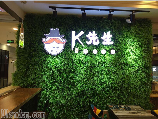 仿真植物墻品牌-優蘭德