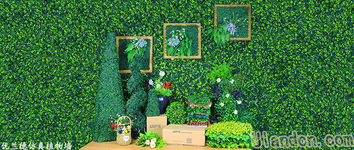 仿真植物墻品牌-優蘭德