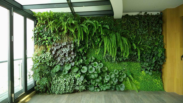 室內墻面仿真植物裝飾