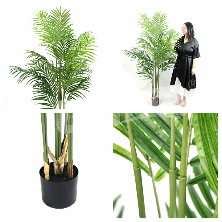 仿真盆栽樹(shù)散尾葵