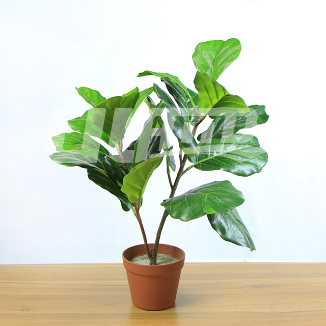 仿真盆栽植物雙桿琴葉榕